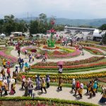 haryanta.p / Shutterstock.com