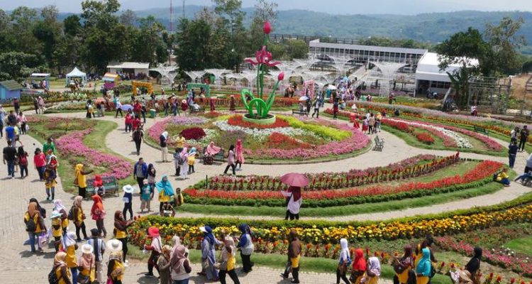 haryanta.p / Shutterstock.com